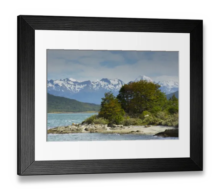 Framed Print : Argentina. Tierra del Fuego. Tierra del Fuego National Park. The coastal trail Framed Print : Argentina. Tierra del Fuego. Tierra del Fuego National Park. The coastal trail