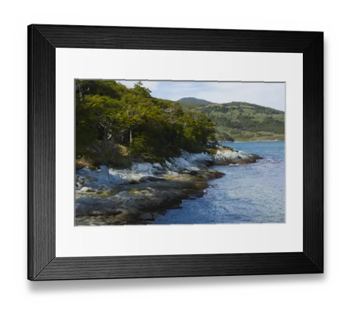 Framed Print : Argentina. Tierra del Fuego. Tierra del Fuego National Park. The coastal trail Framed Print : Argentina. Tierra del Fuego. Tierra del Fuego National Park. The coastal trail