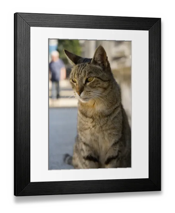 Framed Print : Argentina. Buenos Aires. Recoleta. Recoleta Cemetery