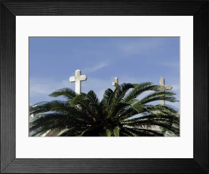 Framed Print : South America, Argentina, Buenos Aires. Crosses and palm at La Recoleta Cemetary Framed Print : South America, Argentina, Buenos Aires. Crosses and palm at La Recoleta Cemetary