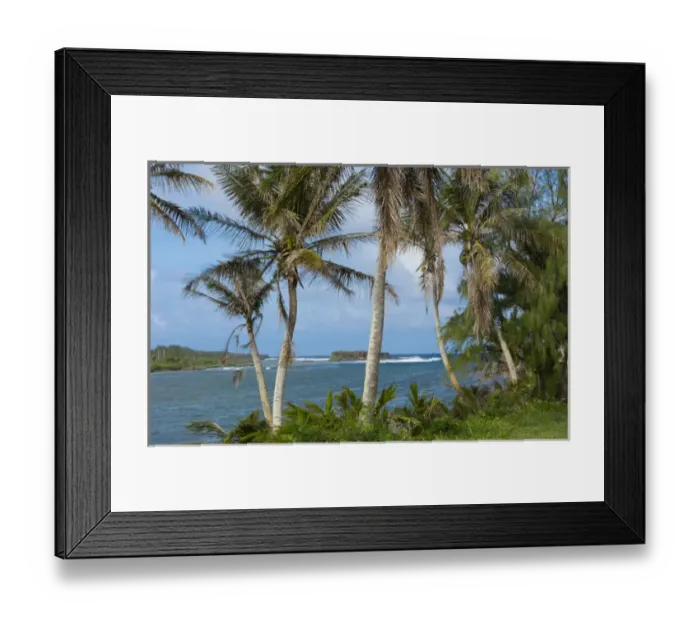 Framed Print : Guam USA Territory palms and waves at Bear Rock in South Guam Framed Print : Guam USA Territory palms and waves at Bear Rock in South Guam