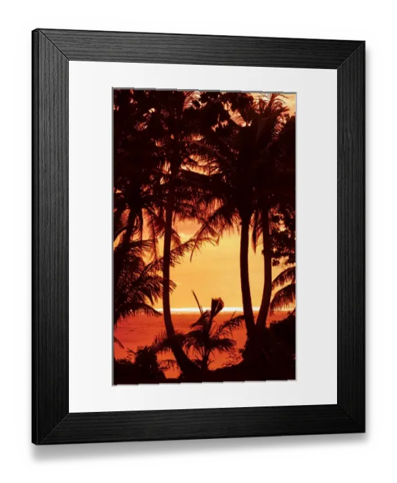 Framed Print : Guam USA Territory palms and sunset near Hagatna capital Framed Print : Guam USA Territory palms and sunset near Hagatna capital