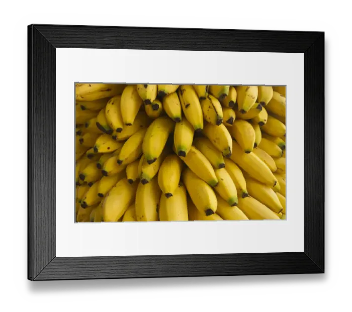 Framed Print : Bananas at the Saturday market, San Ignacio, Belize Framed Print : Bananas at the Saturday market, San Ignacio, Belize