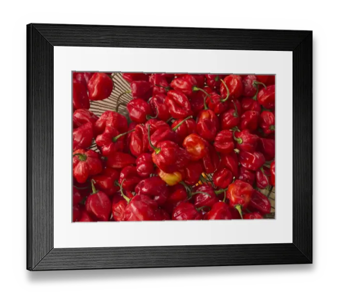 Framed Print : Red peppers at the Saturday market, San Ignacio, Belize