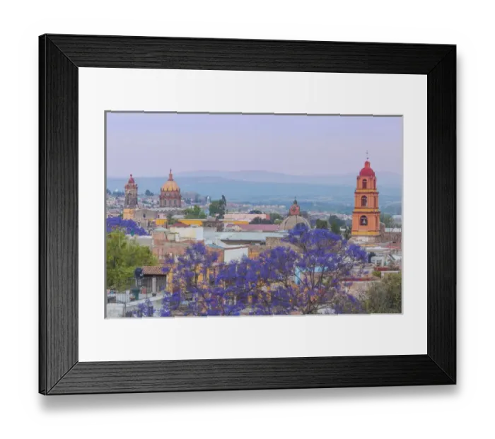 Framed Print : Mexico, San Miguel de Allende. Jacaranda tree and city overview Framed Print : Mexico, San Miguel de Allende. Jacaranda tree and city overview