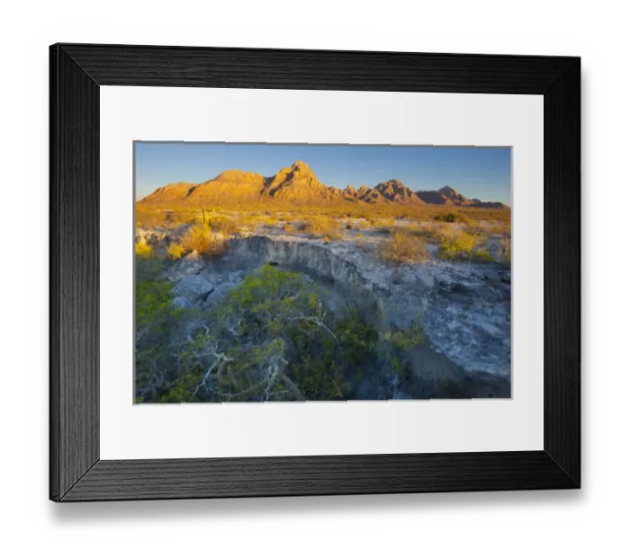Framed Print : Mexico, Baja, Sea of Cortez. Warm morning light on the volcanic spine of Isla Carmen Framed Print : Mexico, Baja, Sea of Cortez. Warm morning light on the volcanic spine of Isla Carmen
