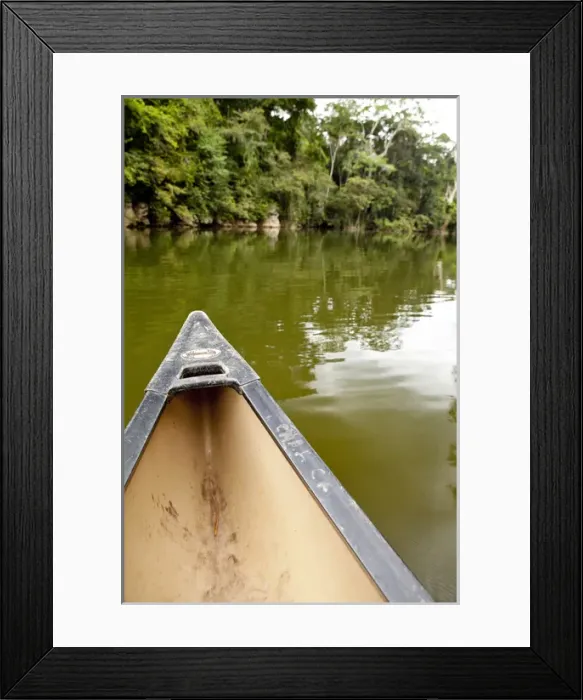 Framed Print : Canoeing the Macal River in jungle of Central America, Belize Framed Print : Canoeing the Macal River in jungle of Central America, Belize
