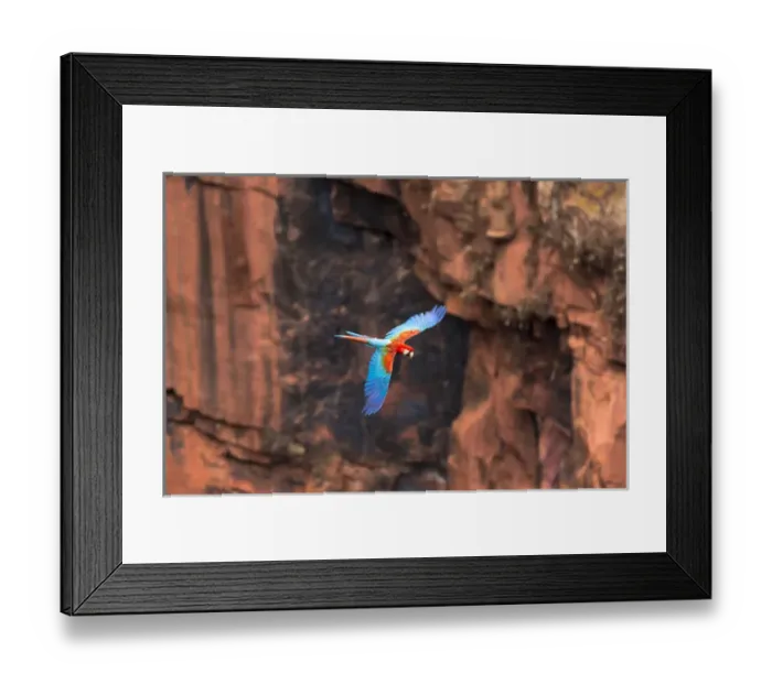 Framed Print : South America, Brazil, Mato Grosso do Sul, Jardim, Sinkhole of the Macaws, red-and-green macaw