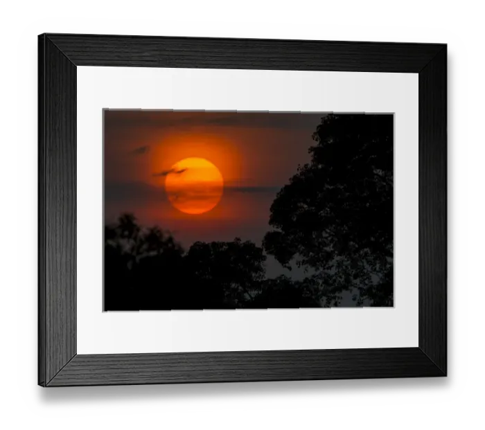Framed Print : South America. Brazil. A colorful orange sunset in the Pantanal, the world s