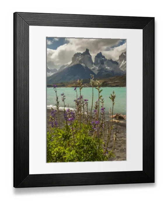 Framed Print : South America, Chile, Patagonia, Torres del Paine National Park. The Horns mountains and Lago Pehoe Framed Print : South America, Chile, Patagonia, Torres del Paine National Park. The Horns mountains and Lago Pehoe