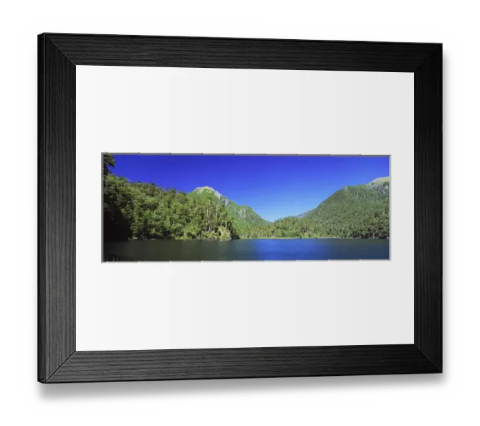 Framed Print : Mountain Forest with Monkey Puzzle Trees and Southern beeches with lake... Huerquehue National Park
