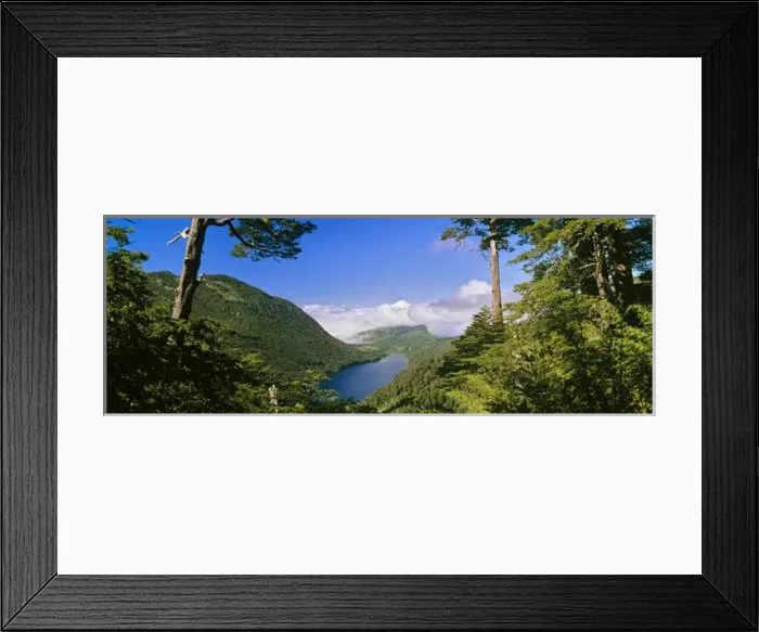 Framed Print : Lago Tincilco and Volcan Villarica Huerquehue National Park, Temuco, Araucania, Chile Framed Print : Lago Tincilco and Volcan Villarica Huerquehue National Park, Temuco, Araucania, Chile
