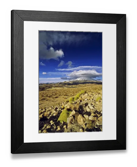 Framed Print : Vulcano Parinacota (6342m) and Pomerape (6286m) Chile during sunset are part of Framed Print : Vulcano Parinacota (6342m) and Pomerape (6286m) Chile during sunset are part of