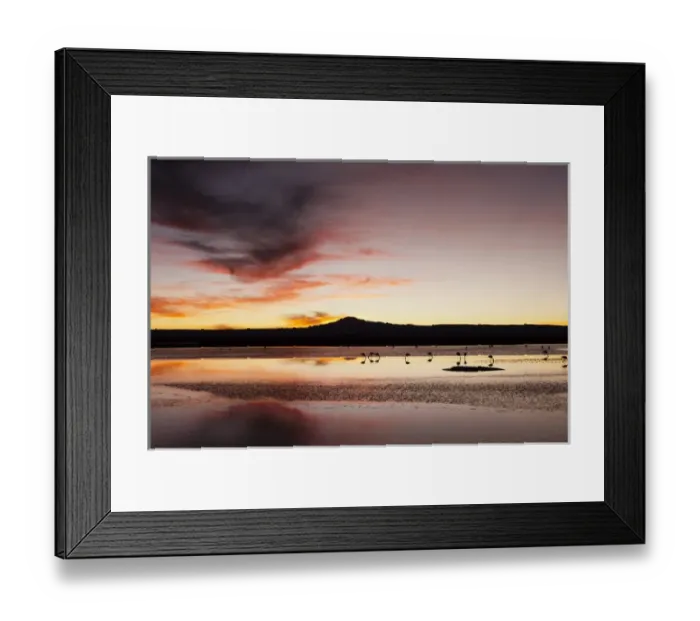 Framed Print : Chilean Flamingo, (Phoenicopterus chilensis), Laguna Chaxa, Salar de Atacama, Atacama Desert