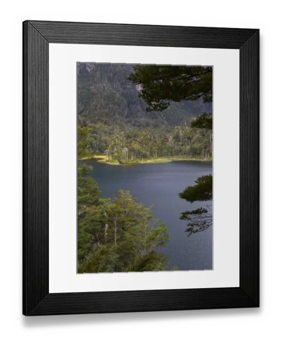 Framed Print : Chile. South America. Lago El Toro. Huerquehue National Park (Parque Nacional Huerquehue) Framed Print : Chile. South America. Lago El Toro. Huerquehue National Park (Parque Nacional Huerquehue)