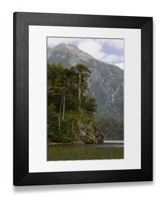 Framed Print : Chile. South America. Lago El Toro and Cerro San Sabastian. Huerquehue National Park Framed Print : Chile. South America. Lago El Toro and Cerro San Sabastian. Huerquehue National Park