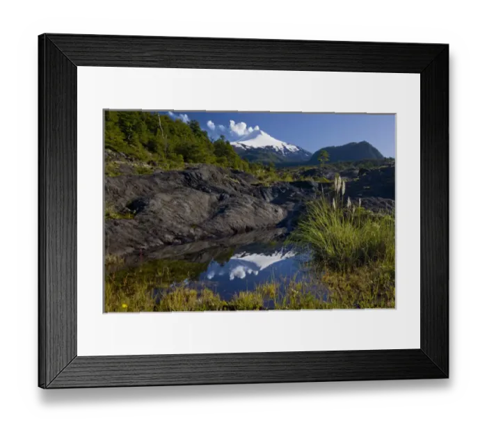 Framed Print : Villarrica National Park, Chile. South America Framed Print : Villarrica National Park, Chile. South America