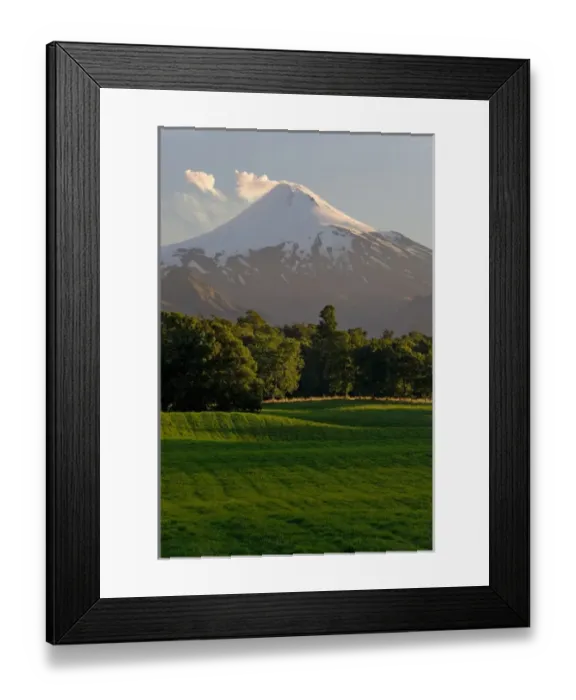 Framed Print : Chile. South America. Pasture in Rio Liucura valley