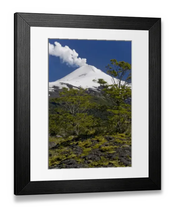 Framed Print : Villarrica National Park, Chile. South America