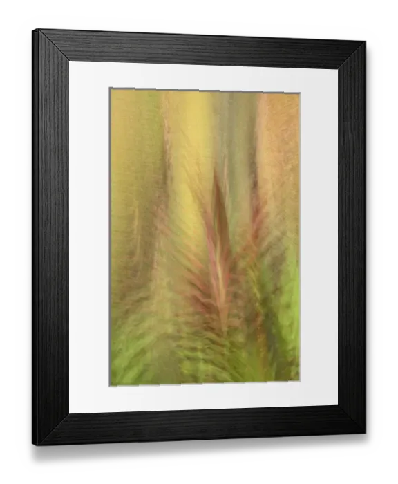 Framed Print : South America, Ecuador, Colon. Montage of botanical plants