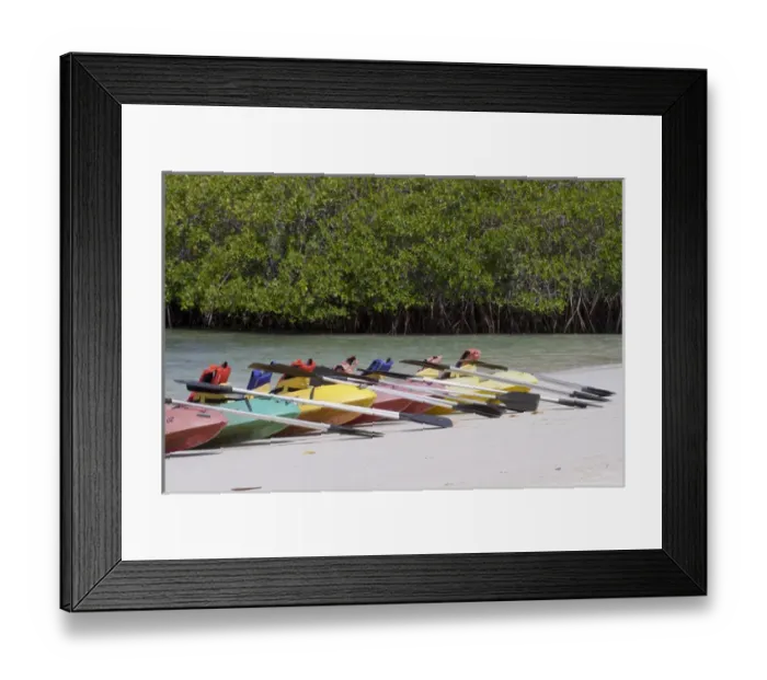 Framed Print : Kayaks at Tortuga Bay, Santa Cruz Island, Galapagos Islands Framed Print : Kayaks at Tortuga Bay, Santa Cruz Island, Galapagos Islands