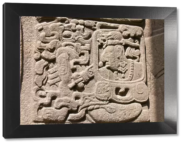 Guatemala, Quirigua. Mayan stelae at Quirigua Archaeological Park (UNESCO World Heritage SIte)