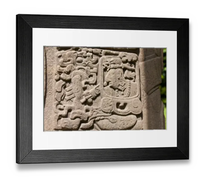 Framed Print : Guatemala, Quirigua. Mayan stelae at Quirigua Archaeological Park (UNESCO World Heritage SIte)