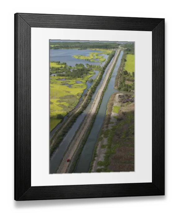 Framed Print : Wetland MMA, Abari Swamps, Mahaica Miconi Abari, GUYANA