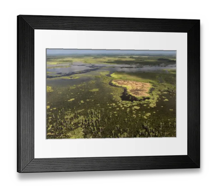 Framed Print : Wetland MMA, Abari Swamps, Mahaica Miconi Abari, GUYANA