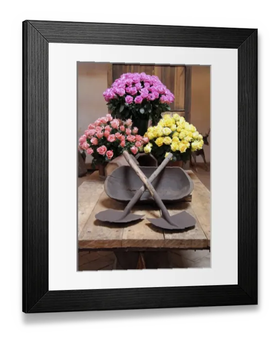 Framed Print : South America, Ecuador, Cayambe. Rosadex Rose arrangements displayed at Hacienda Compania