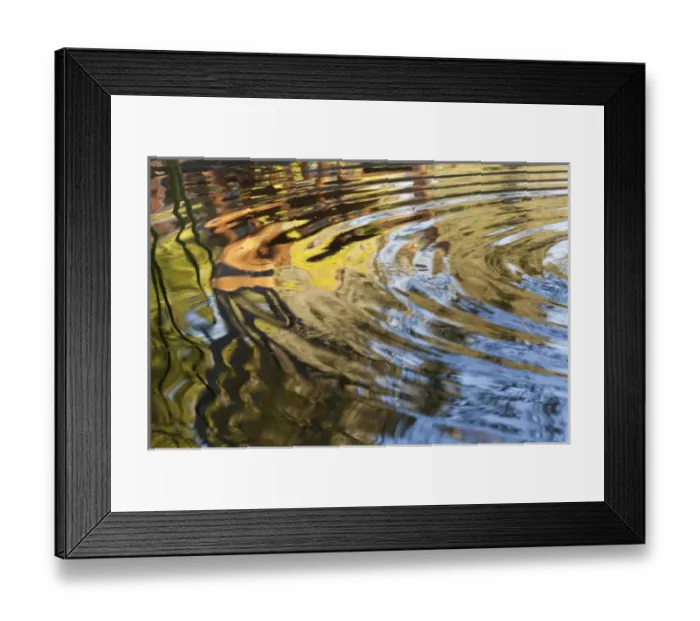Framed Print : South America, Mexico, Tecate. Ripples in pool at Rancho La Purerta Framed Print : South America, Mexico, Tecate. Ripples in pool at Rancho La Purerta
