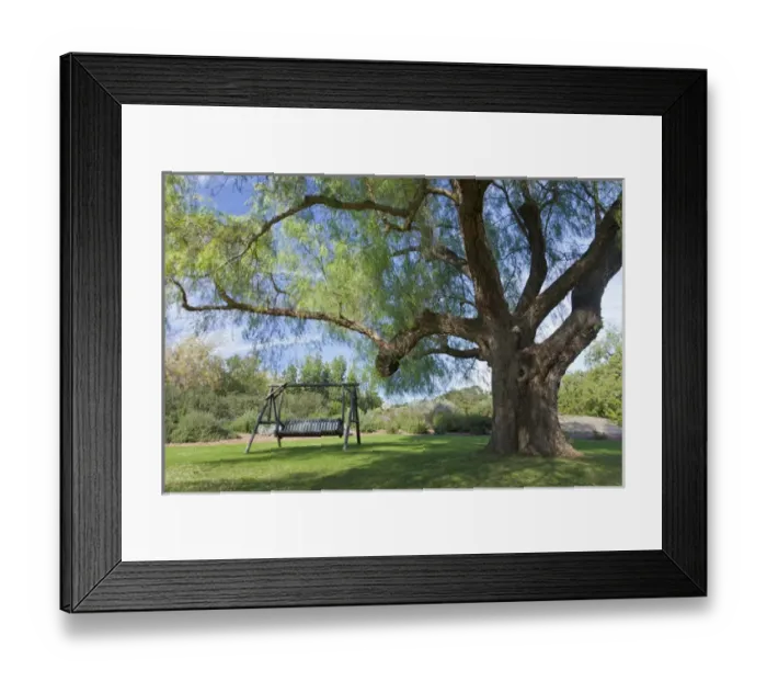 Framed Print : South America, Mexico, Tecate. Bench swing under large tree at Rancho La Purerta Framed Print : South America, Mexico, Tecate. Bench swing under large tree at Rancho La Purerta