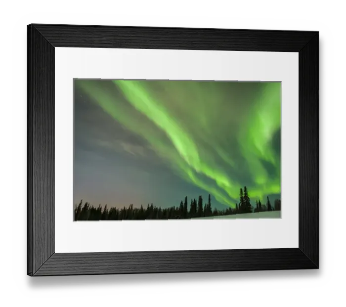 Framed Print : USA, Alaska. Aurora borealis over forest Framed Print : USA, Alaska. Aurora borealis over forest