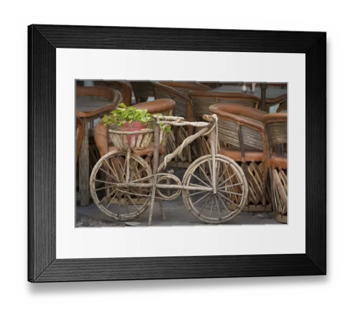 Framed Print : Mexico, Guanajuato. Wooden bicycle with potted plant Framed Print : Mexico, Guanajuato. Wooden bicycle with potted plant