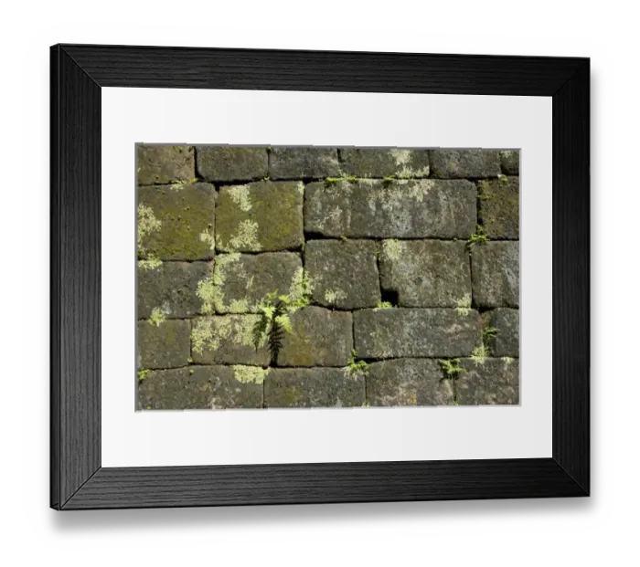 Framed Print : Guatemala, Quirigua Mayan Ruins Archaeological Park (UNESCO) Framed Print : Guatemala, Quirigua Mayan Ruins Archaeological Park (UNESCO)