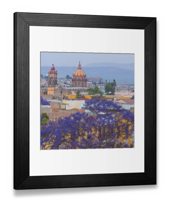 Framed Print : Mexico, San Miguel de Allende. Jacaranda tree and city overview