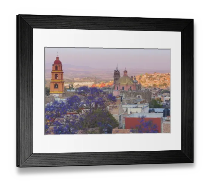 Framed Print : Mexico, San Miguel de Allende. Jacaranda tree and city overview Framed Print : Mexico, San Miguel de Allende. Jacaranda tree and city overview