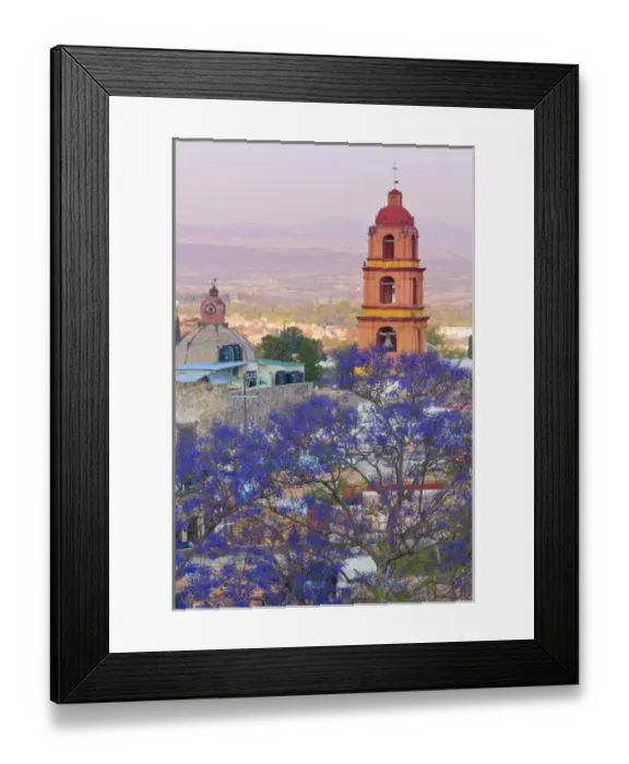 Framed Print : Mexico, San Miguel de Allende. Jacaranda tree and city overview Framed Print : Mexico, San Miguel de Allende. Jacaranda tree and city overview