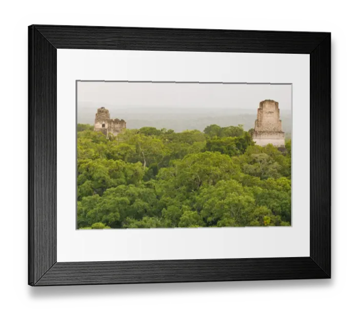 Framed Print : Temples in Tikal National Park (Parque Nacional Tikal) UNESCO World Heritage Site Framed Print : Temples in Tikal National Park (Parque Nacional Tikal) UNESCO World Heritage Site