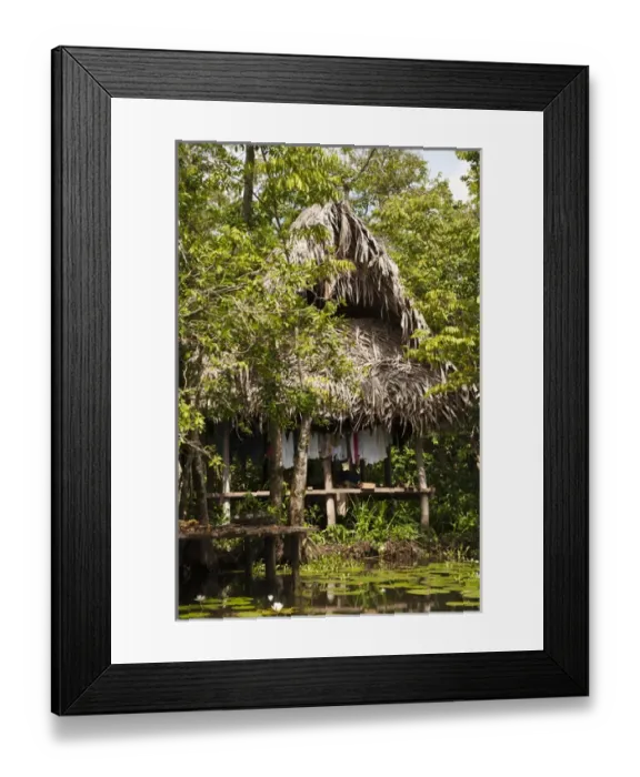 Framed Print : Guatemala, Lake Izabal. Indigenous people dwelling on Lake Izabal (Lago de Izabal) Framed Print : Guatemala, Lake Izabal. Indigenous people dwelling on Lake Izabal (Lago de Izabal)