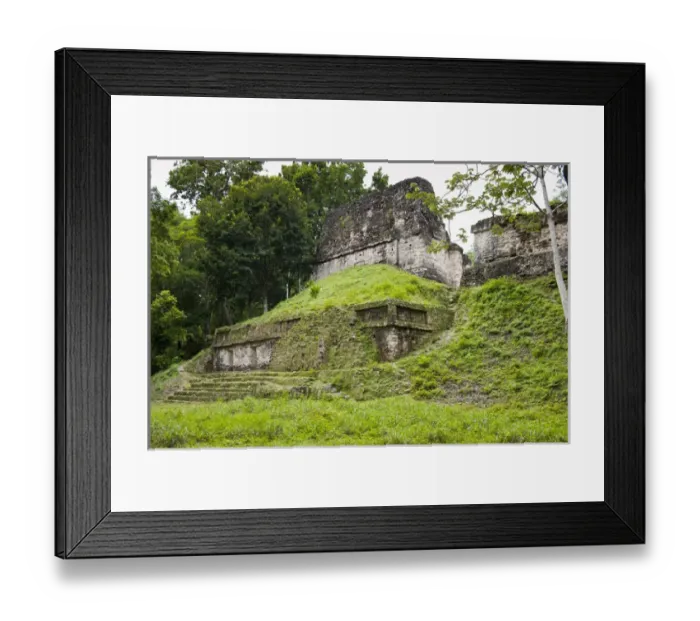 Framed Print : Temples in Tikal National Park (Parque Nacional Tikal) UNESCO World Heritage Site Framed Print : Temples in Tikal National Park (Parque Nacional Tikal) UNESCO World Heritage Site