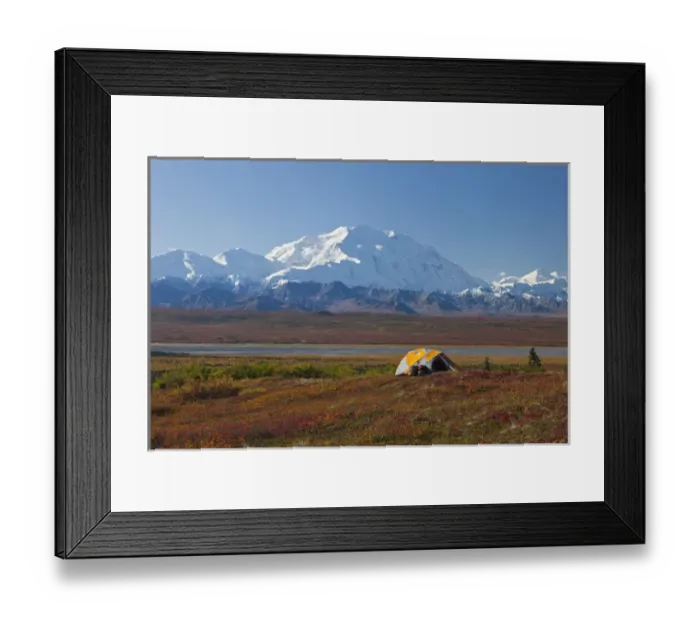Framed Print : Denali National Park, Alaska, Mt. McKinley towers behind a camp on brilliantly colored