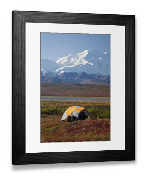 Framed Print : Denali National Park, Alaska, Mt. McKinley towers behind a camp on brilliantly colored Framed Print : Denali National Park, Alaska, Mt. McKinley towers behind a camp on brilliantly colored