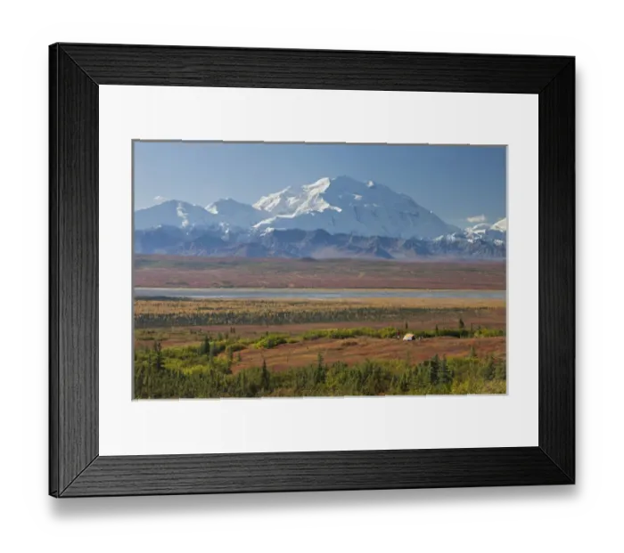 Framed Print : Denali National Park, Alaska, Mt. McKinley towers behind a camper and his tent