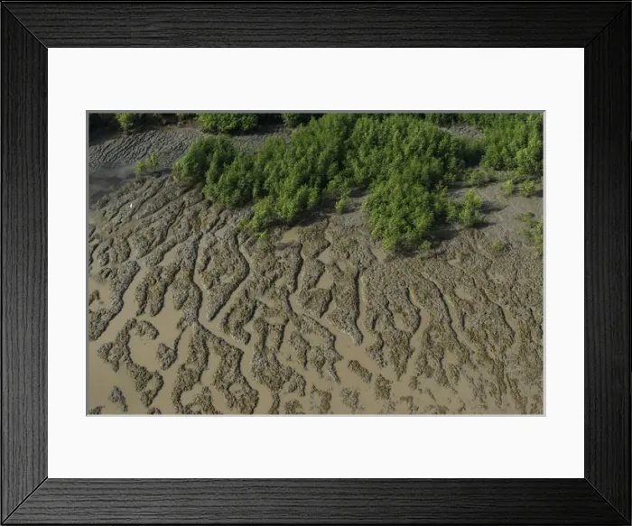 Framed Print : Shell Beach North GUYANA South America