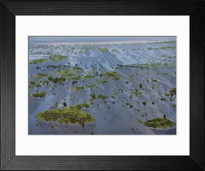 Framed Print : Wetland Shell Beach North GUYANA South America Framed Print : Wetland Shell Beach North GUYANA South America