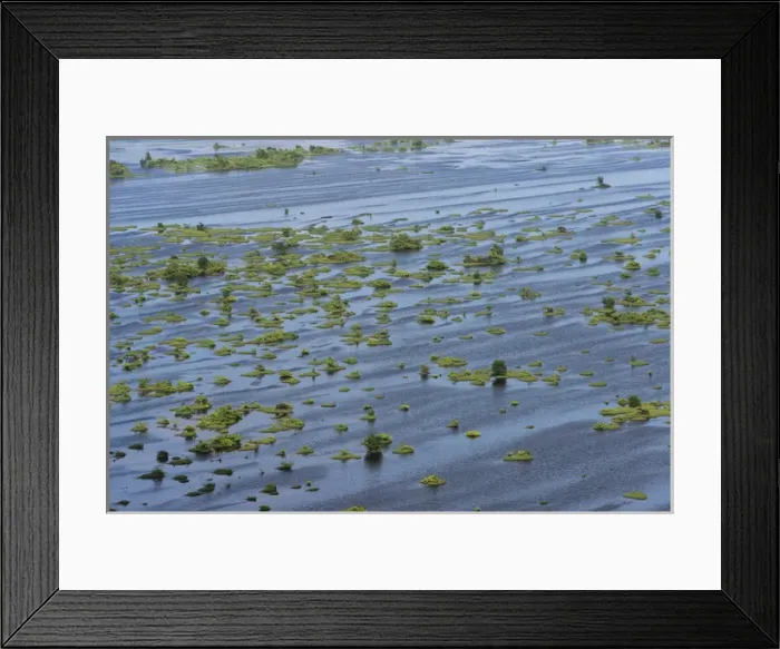 Framed Print : Wetland Shell Beach North GUYANA South America Framed Print : Wetland Shell Beach North GUYANA South America