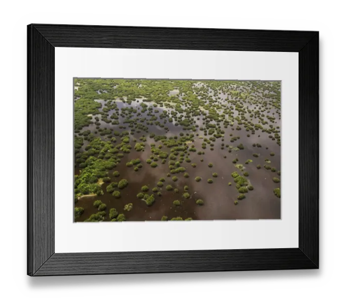 Framed Print : Wetland Shell Beach North GUYANA South America