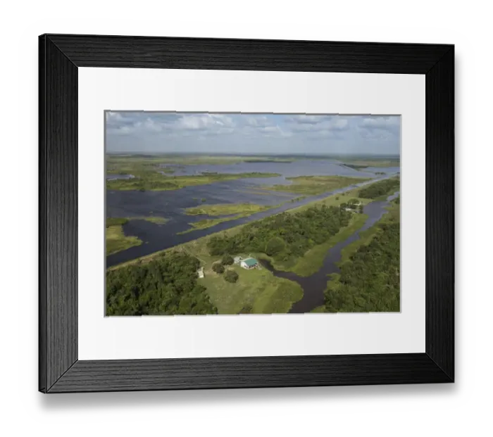 Framed Print : Wetland MMA, Abari Swamps, Mahaica Miconi Abari, GUYANA Framed Print : Wetland MMA, Abari Swamps, Mahaica Miconi Abari, GUYANA
