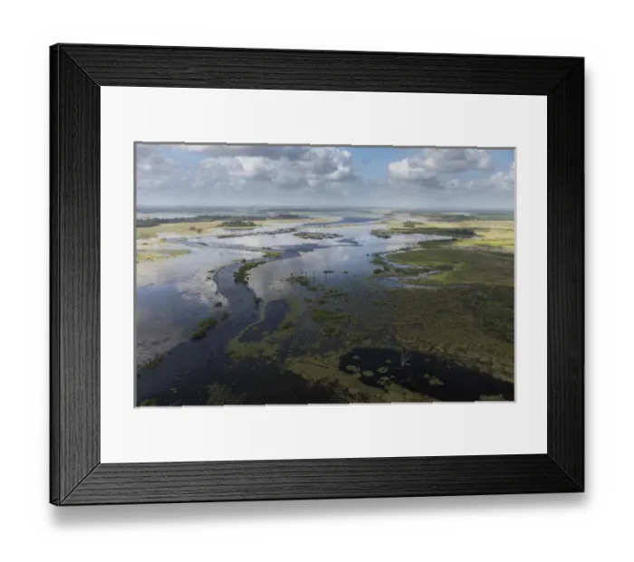Framed Print : Wetland MMA, Abari Swamps, Mahaica Miconi Abari, GUYANA Framed Print : Wetland MMA, Abari Swamps, Mahaica Miconi Abari, GUYANA